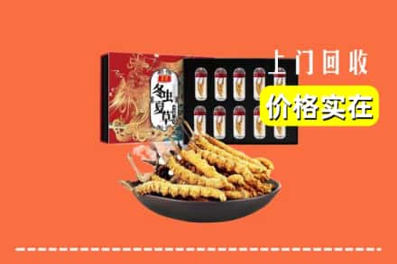 周口商水县回收冬虫夏草