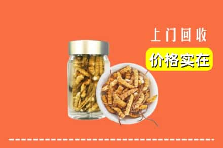 周口商水县回收散虫草