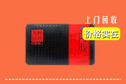 周口商水县回收阿胶