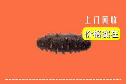 周口商水县回收海参