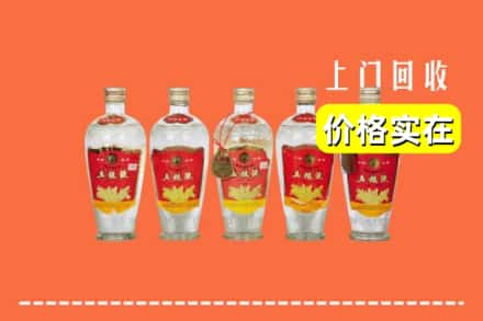 诚信求购:周口商水县高价回收老五粮液
